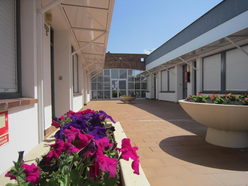 Apartamentos Elena Ларедо Экстерьер фото